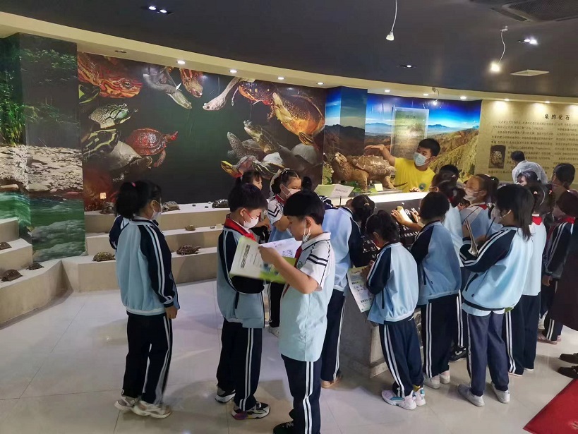我校组织学生参观海南生物多样性博物馆